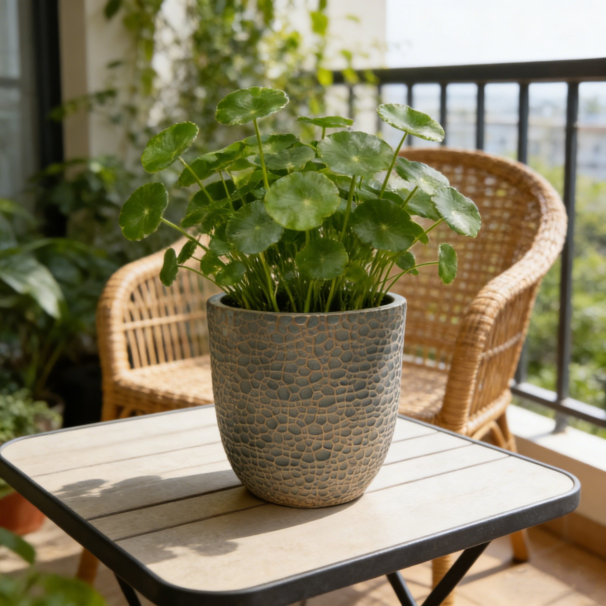 Weather Resistant Outdoor Planter Box Durable Raised Garden Bed for Vegetable Flower Growing