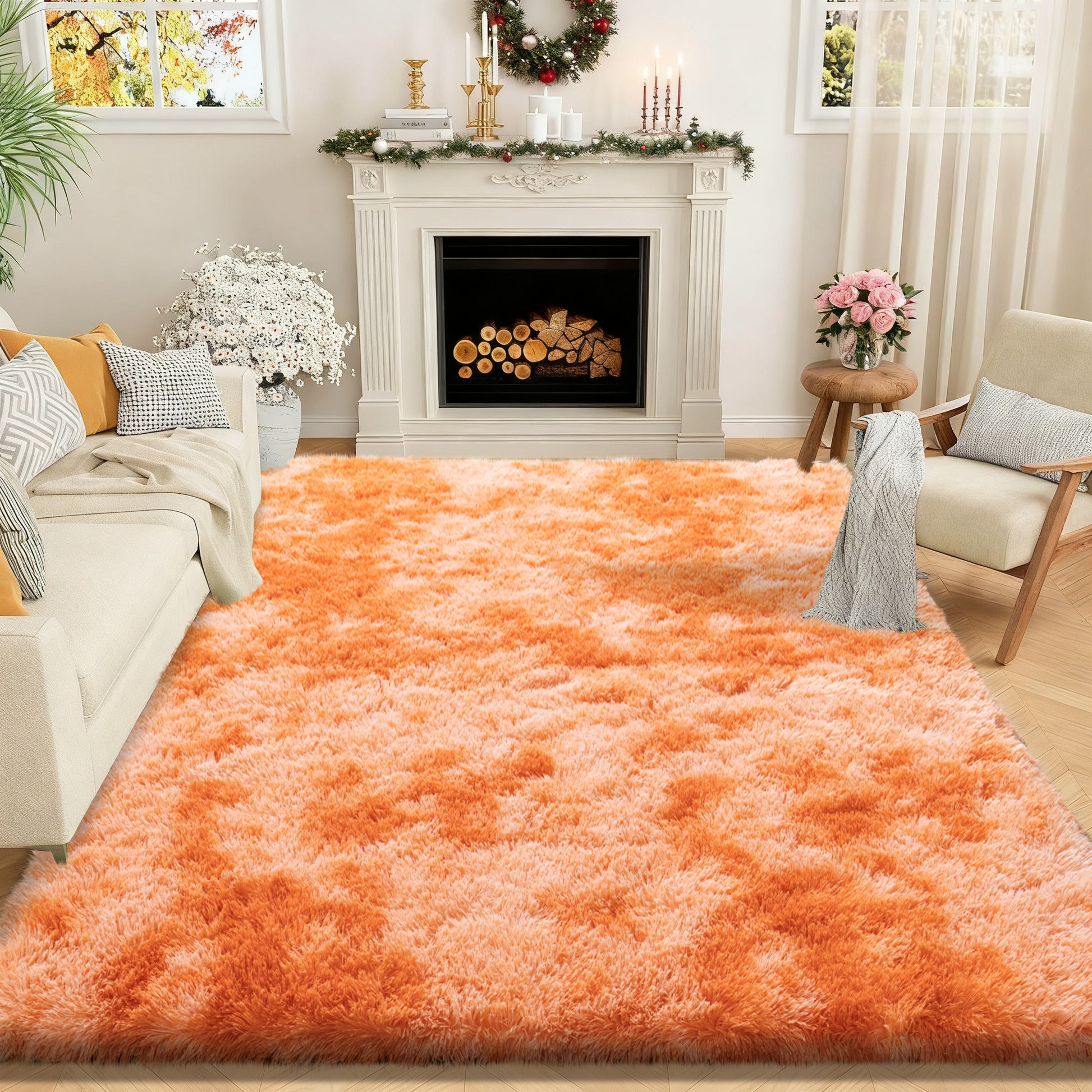 Super Soft Shaggy Rugs Fluffy Carpet, Modern Plush Area Rug for Living Room Bedroom Kids Room