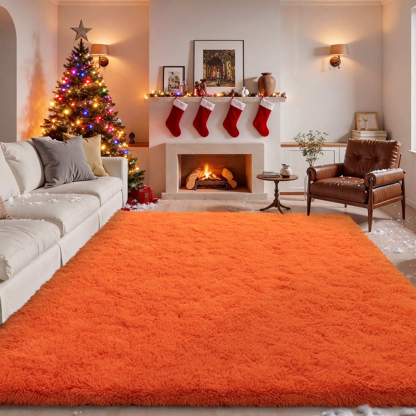 Area Rugs for Living Room Bedroom, Non-Slip Fluffy Soft Shag Carpet for Kids Home Dorm Decor