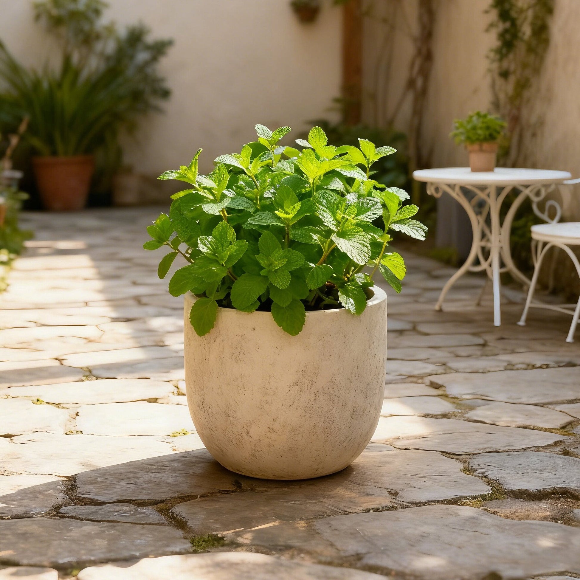 Set of Round MGO Planters Lightweight Plant Pots with Drainage for Indoor Outdoor Gardening