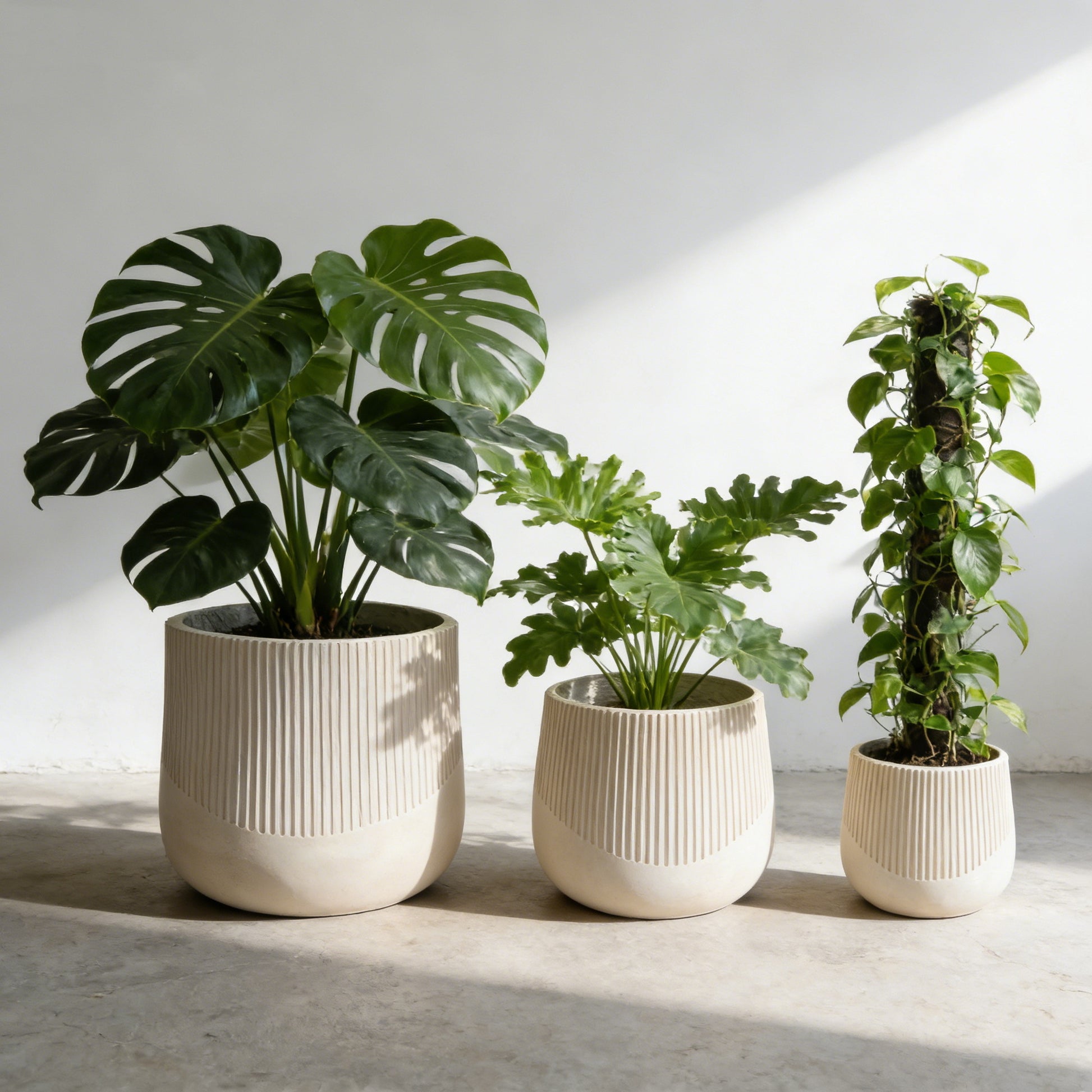 Outdoor Planter Pots Set Modern MGO Design with Drainage for Home Garden Patio Decoration