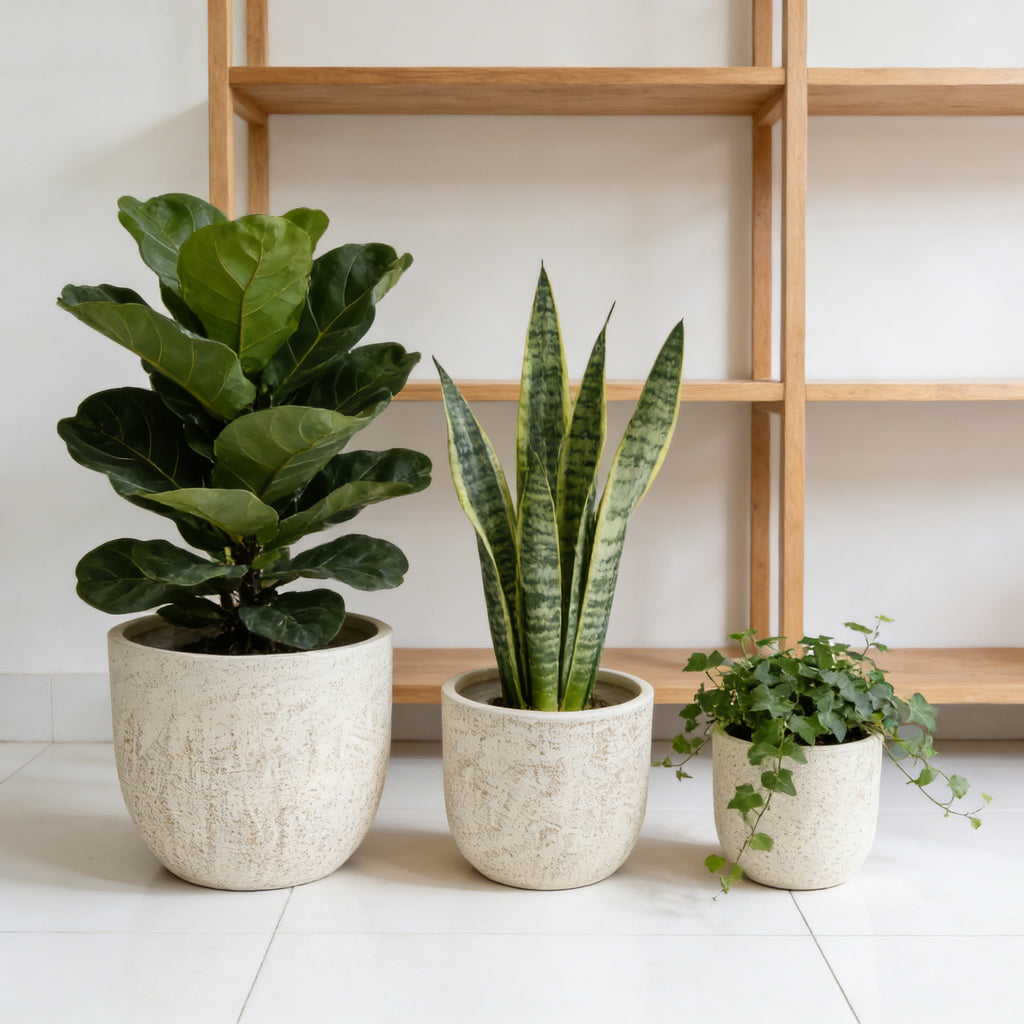 Set of Round MGO Planters Lightweight Plant Pots with Drainage for Indoor Outdoor Gardening