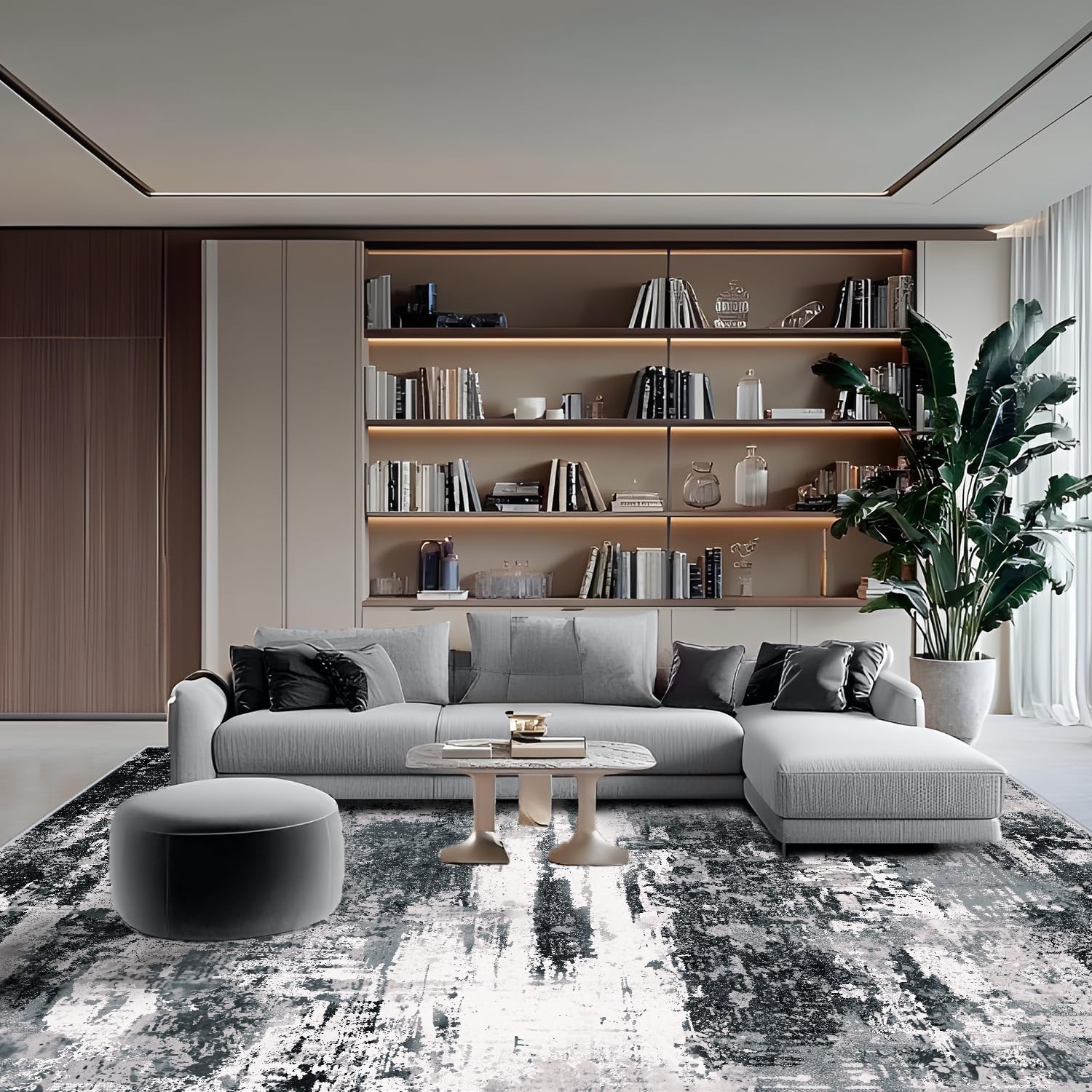 Washable Area Rugs 5'x7' Non-Slip Modern Abstract Soft for Living Room Entryway Bedroom Nursery, Print Pattern Home Decor Aesthetic