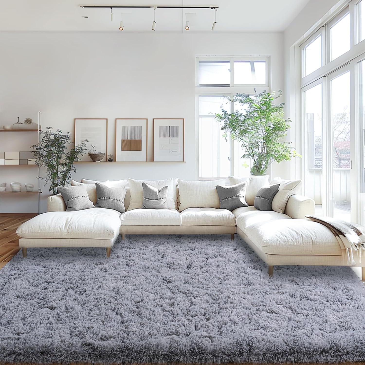 Area Rugs for Living Room Bedroom, Non-Slip Fluffy Soft Shag Carpet for Kids Home Dorm Decor